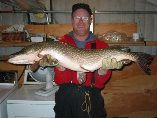 Timothy Charlebois