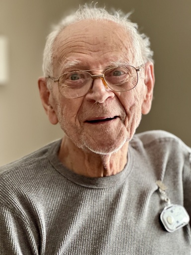 Artur Pervik