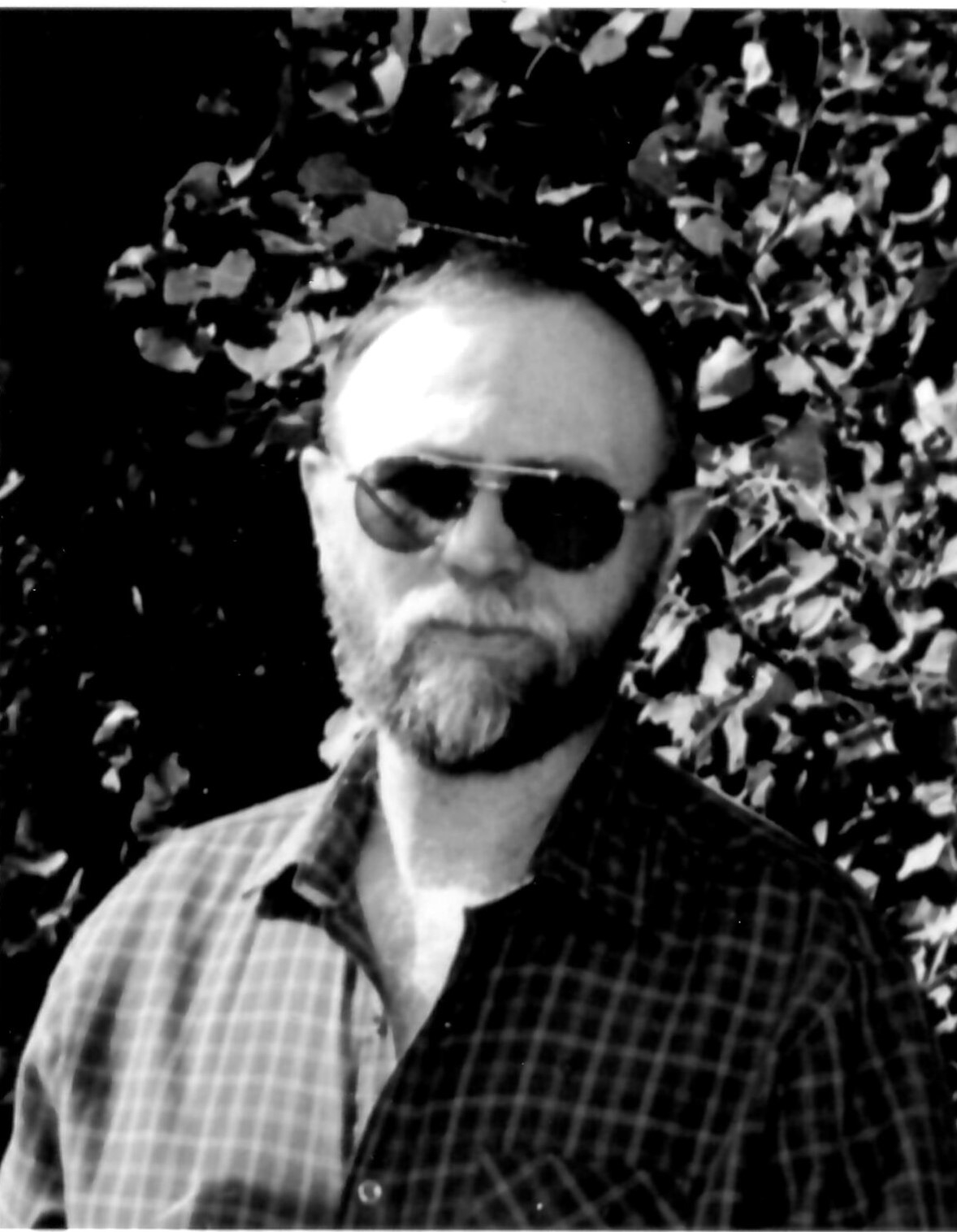 Daniel Wark
