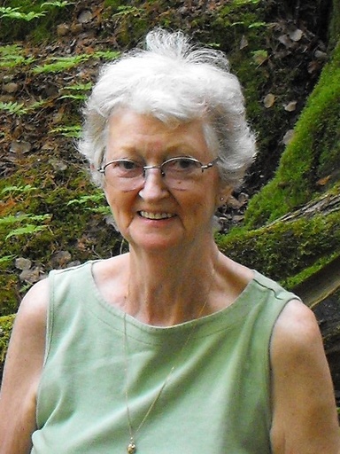 Nora L. Swanepoel